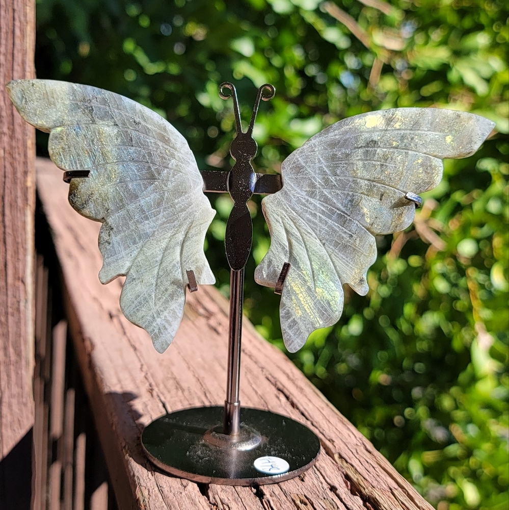 (B) NEW 5.25" x 4.75" LABRADORITE WINGS
